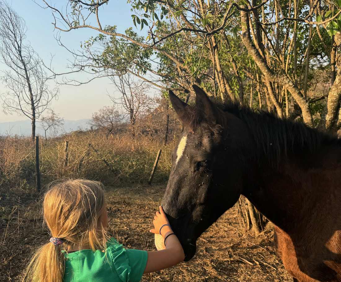 Een kind aait een paard op de kampeerplek in eSwatini