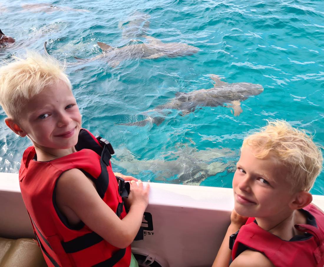 Kinderen in reddingsvesten kijken vanaf de boot naar dolfijnen, Sri Lanka