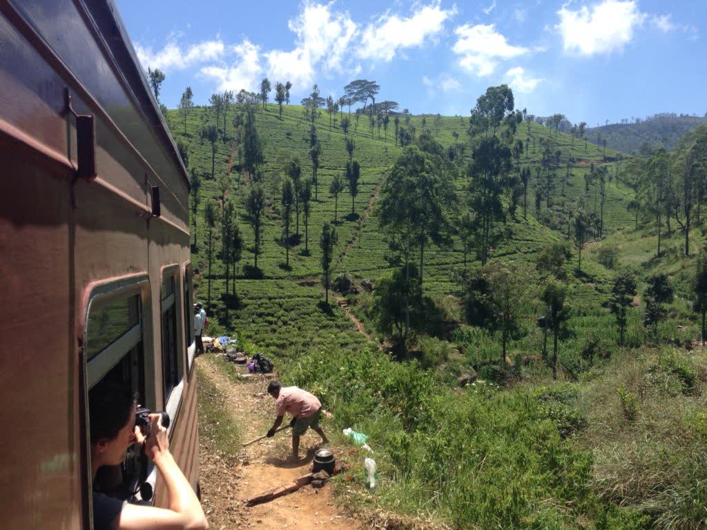 Uitzichten vanuit de trein, het heuvelland van Sri Lanka