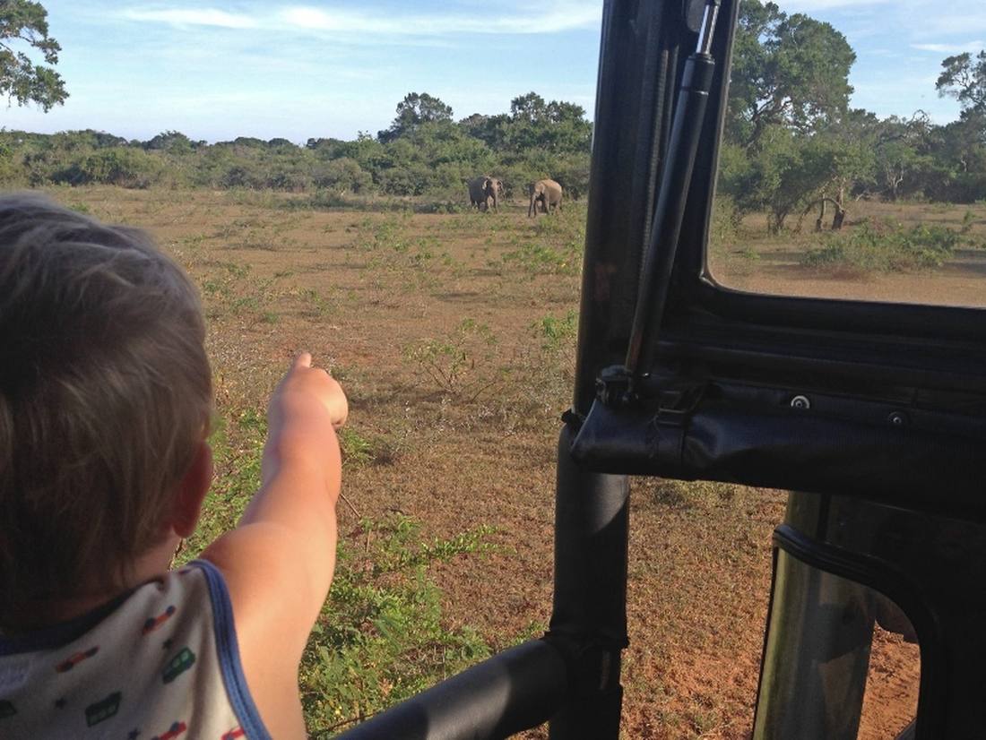 jaja! We spotten olifanten in Yala met kinderen