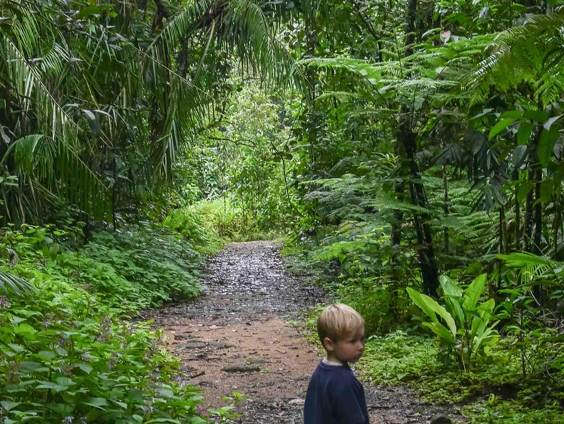 Rondreis Sri Lanka met kinderen - met kinderen in de jungle