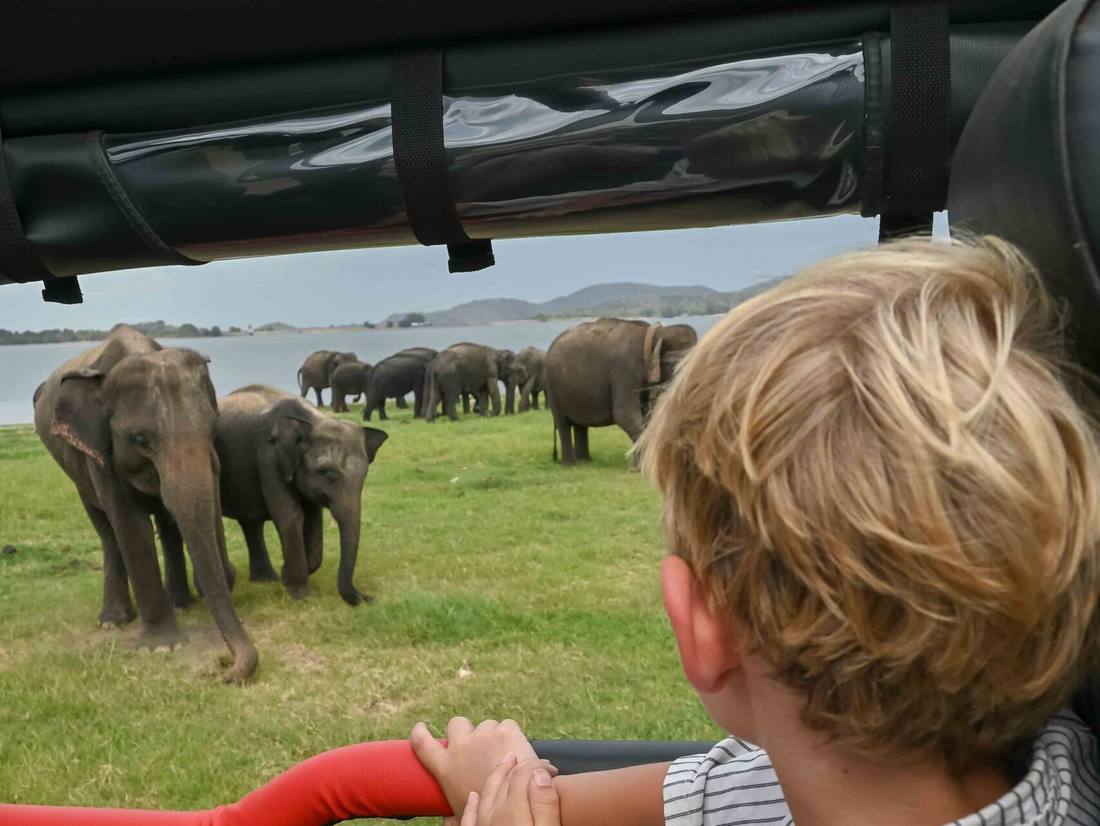 Rondreis Sri Lanka met kinderen - op safari