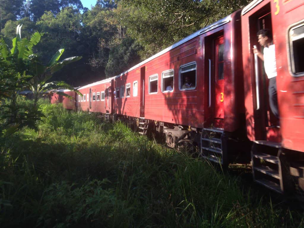 De beroemde trein door de theevelden, het heuvelland van Sri Lanka