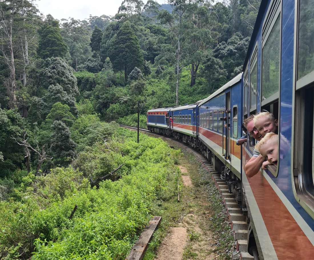 De blauwe trein rijdt door het groen van het heuvelland in Sri Lanka