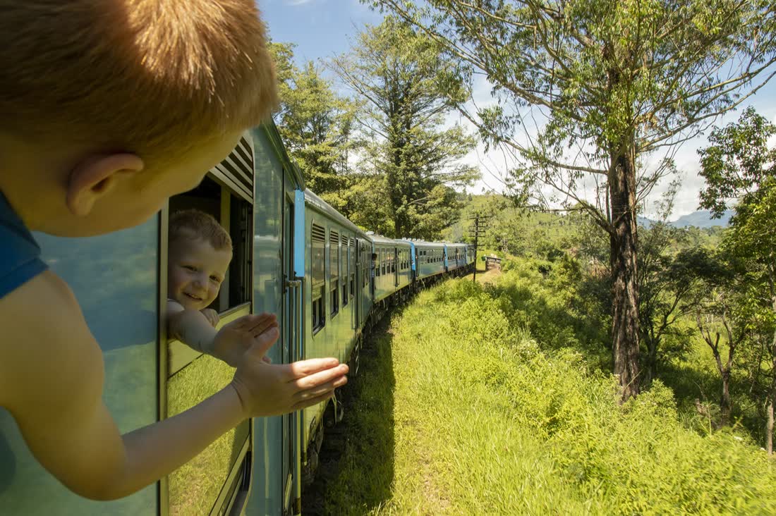 De trein door de theevelden in het heuvelland van Sri Lanka