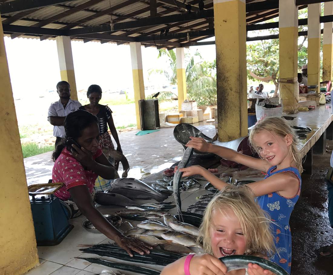 Een kind kijkt naar de vangst op de vismarkt van Negombo, Sri Lanka