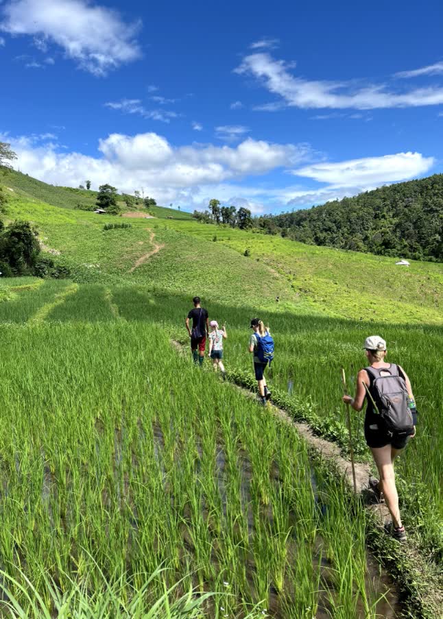 Thailand met jonge kinderen, wandelen door de rijstvelden