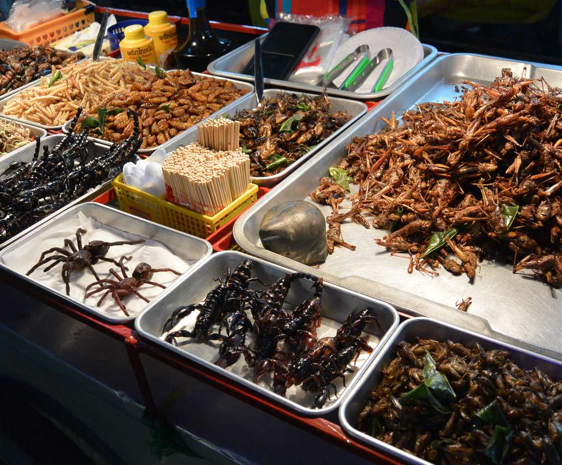 Bakken met gefrituurde insecten op een markt in Bangkok, Thailand