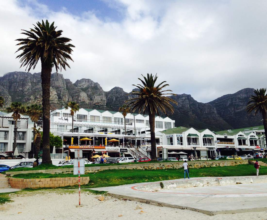 De boulevard van Camps Bay met palmbomen en de Twelve Apostles erachter, Kaapstad, Zuid-Afrika