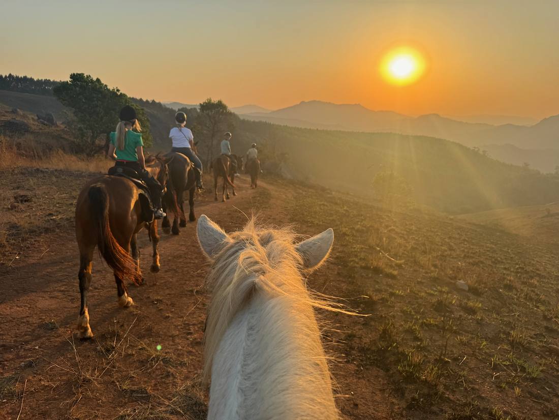 Te paard door een reservaat in eSwatini