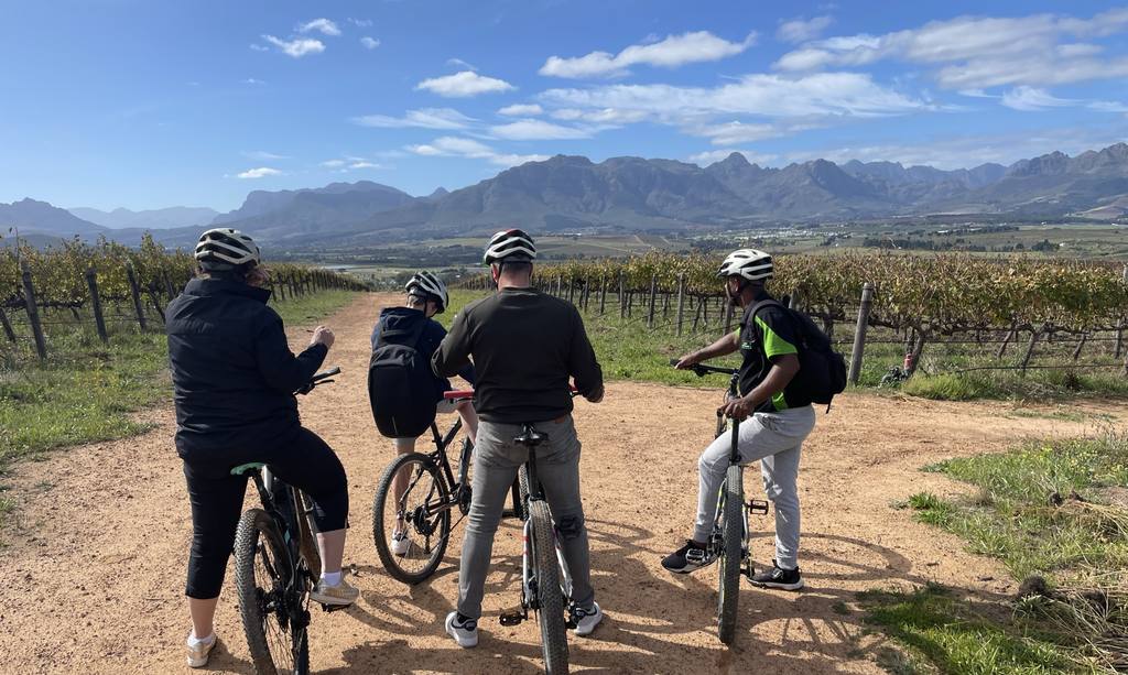 Gezin op mountainbikes tussen de wijngaarden met de bergen erachter, Zuid-Afrika