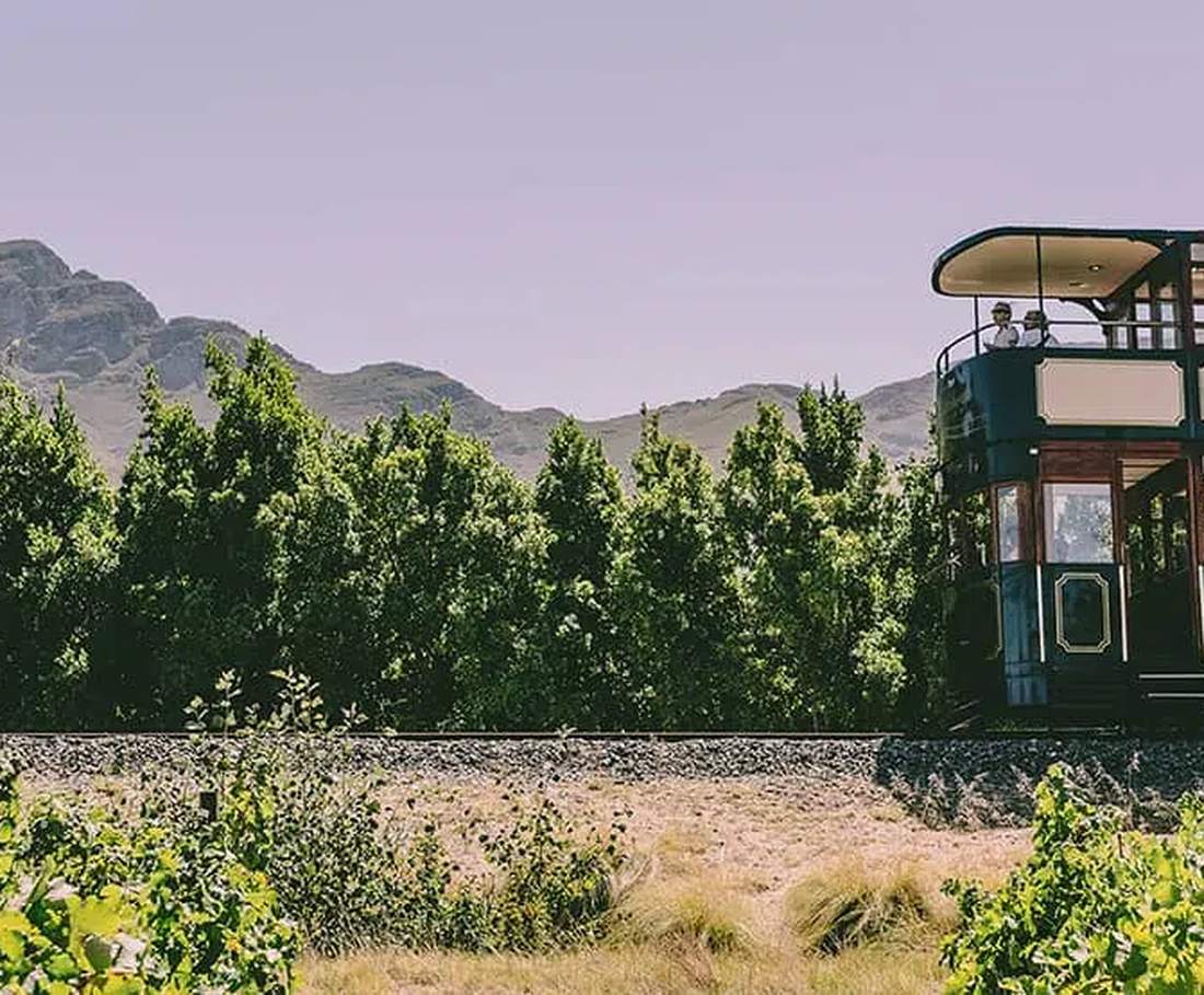 Het ouderwetse wijntrammetje rijdt tussen de wijngaarden bij Franschhoek, Zuid-Afrika