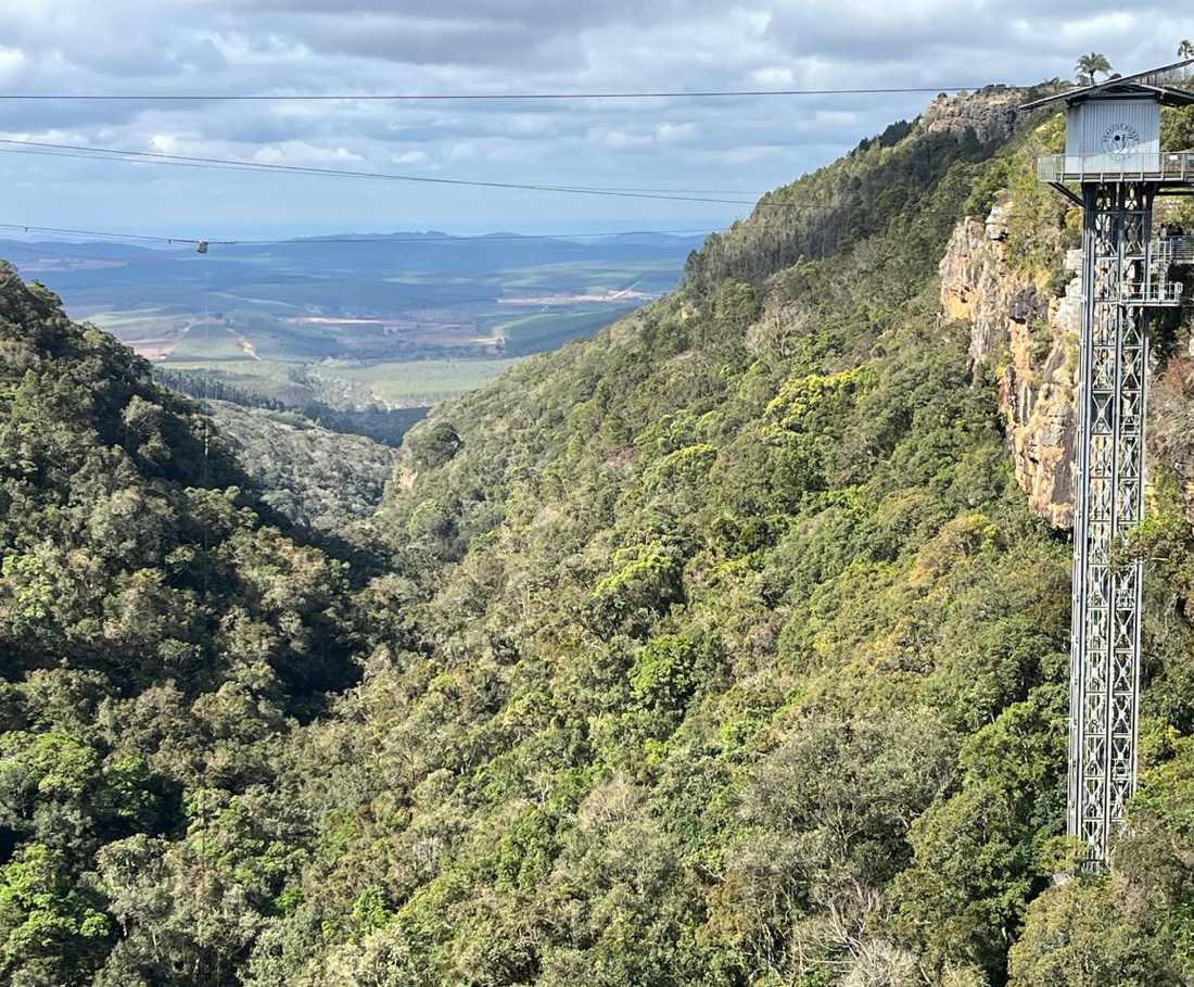 De glazen lift bij Graskop Gorge, met het groene ravijn eronder, Zuid-Afrika