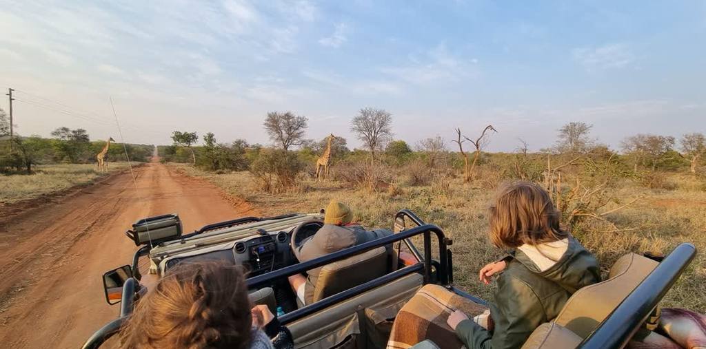 Op safari in een open jeep bij Hoedspruit, Zuid-Afrika