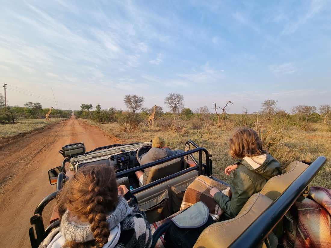 Op safari in een open jeep bij Hoedspruit, Zuid-Afrika