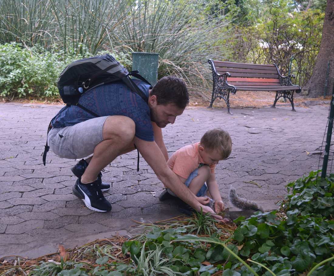 Een vader en zijn kleuter voeren eekhoorntjes in een park in Kaapstad, Zuid-Afrika