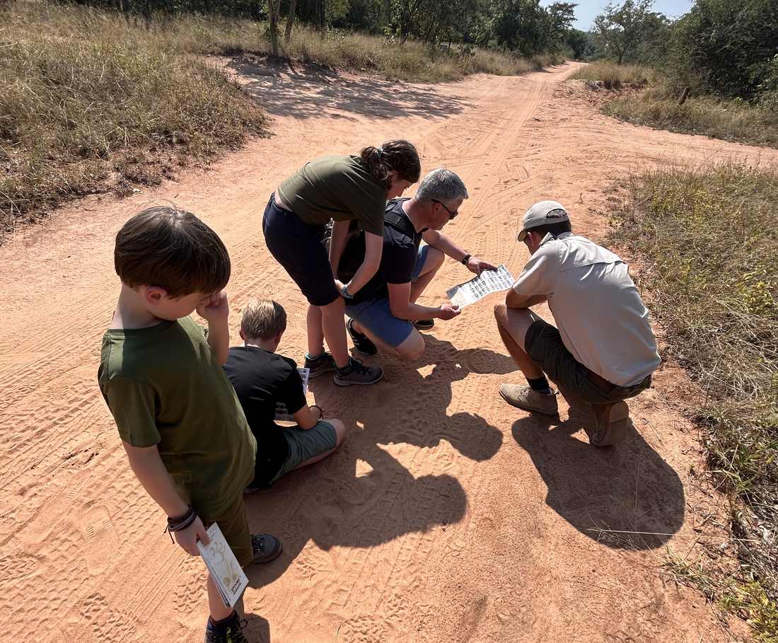 Kinderen bekijken met de ranger verse sporen in het zand in een privereservaat, Zuid-Afrika