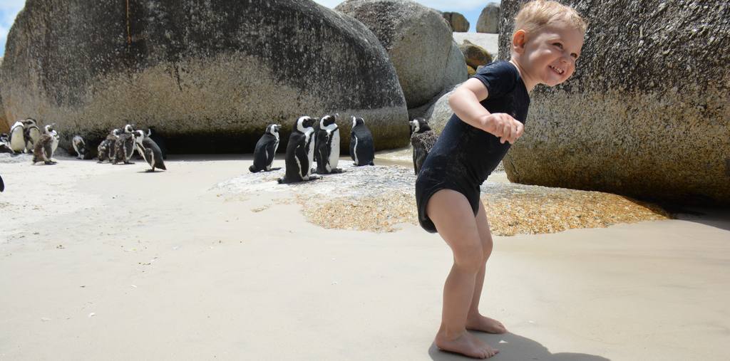 Peuter op het strand tussen de pinguins bij Boulders Beach, de West-Kaap, Zuid-Afrika