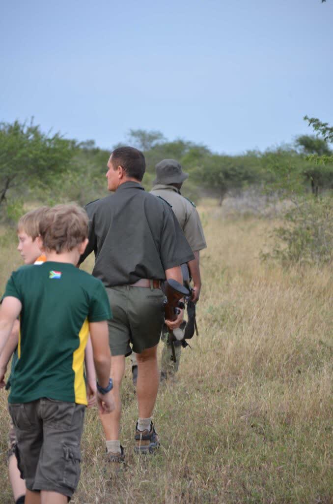 Zelf rijden door het Krugerpark, Zuid-Afrika