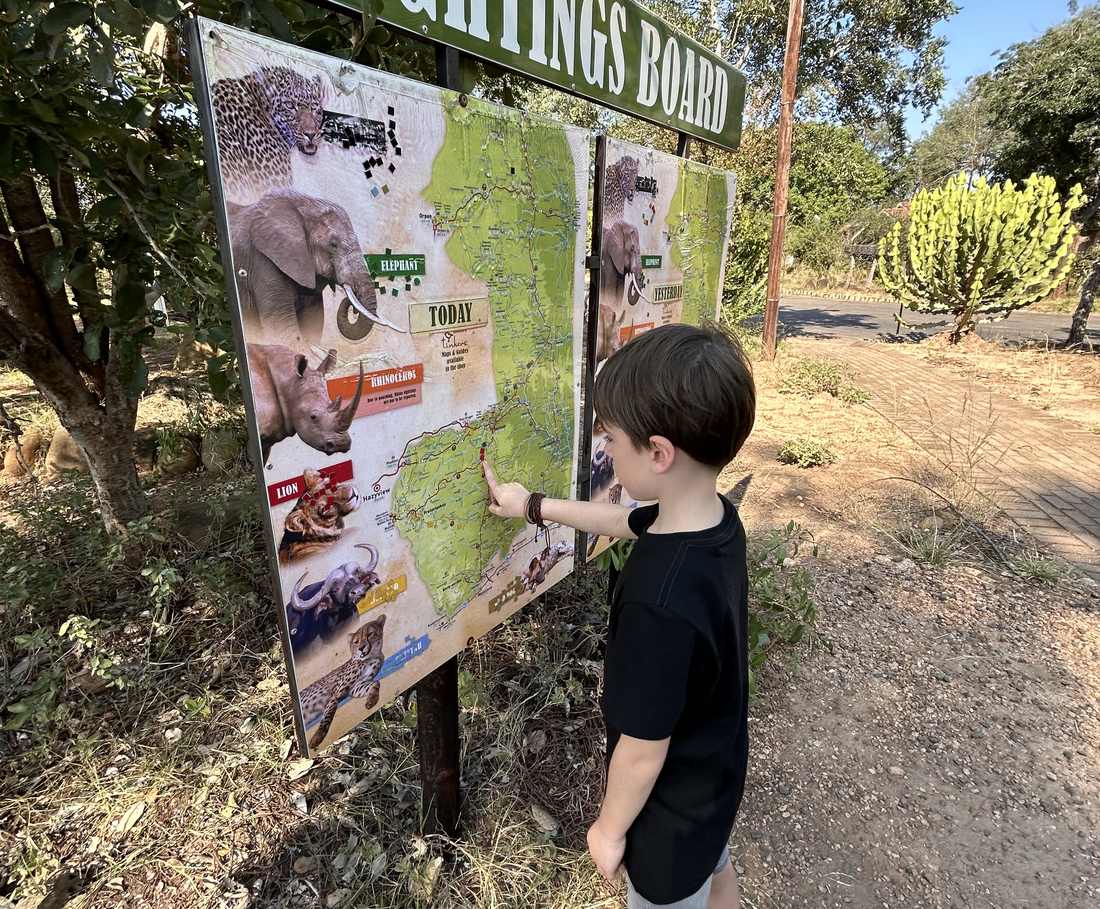 Een kind bekijkt het bord met de laatste waarnemingen bij de ingang van het park, Zuid-Afrika