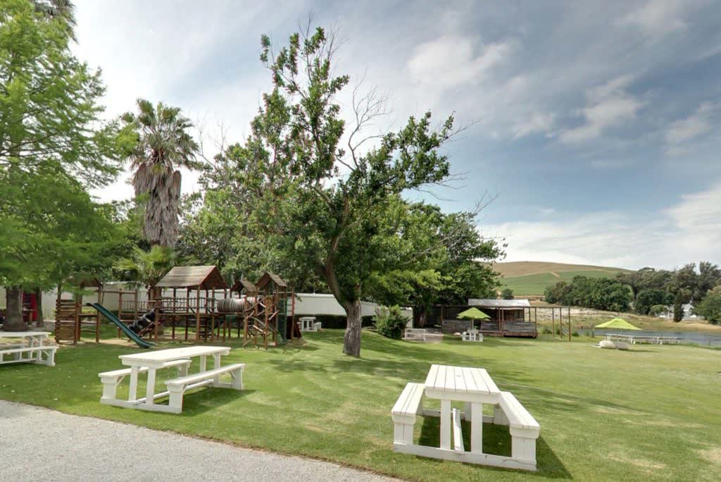 Grasveld bij een wijnboerderij in Stellenbosch, de West-Kaap, Zuid-Afrika
