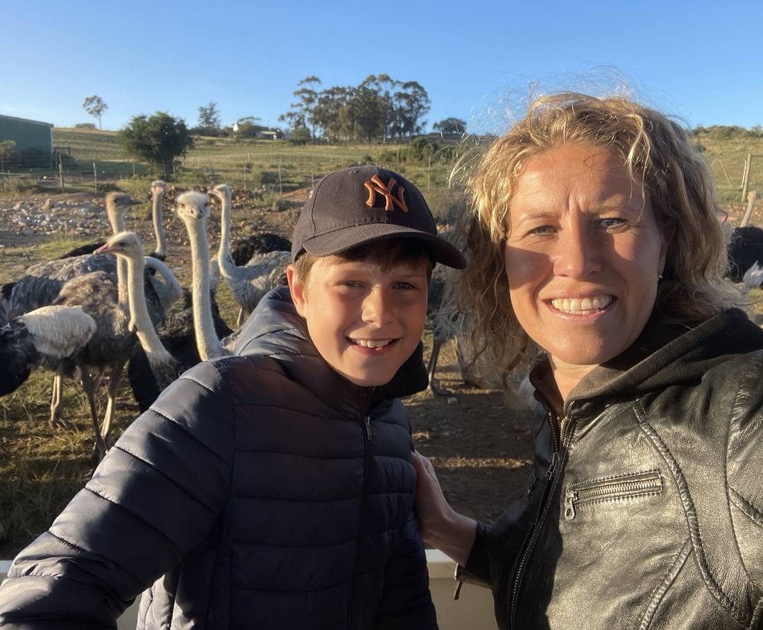 Struisvogels komen vlakbij op een struisvogelboerderij bij Oudtshoorn, Zuid-Afrika