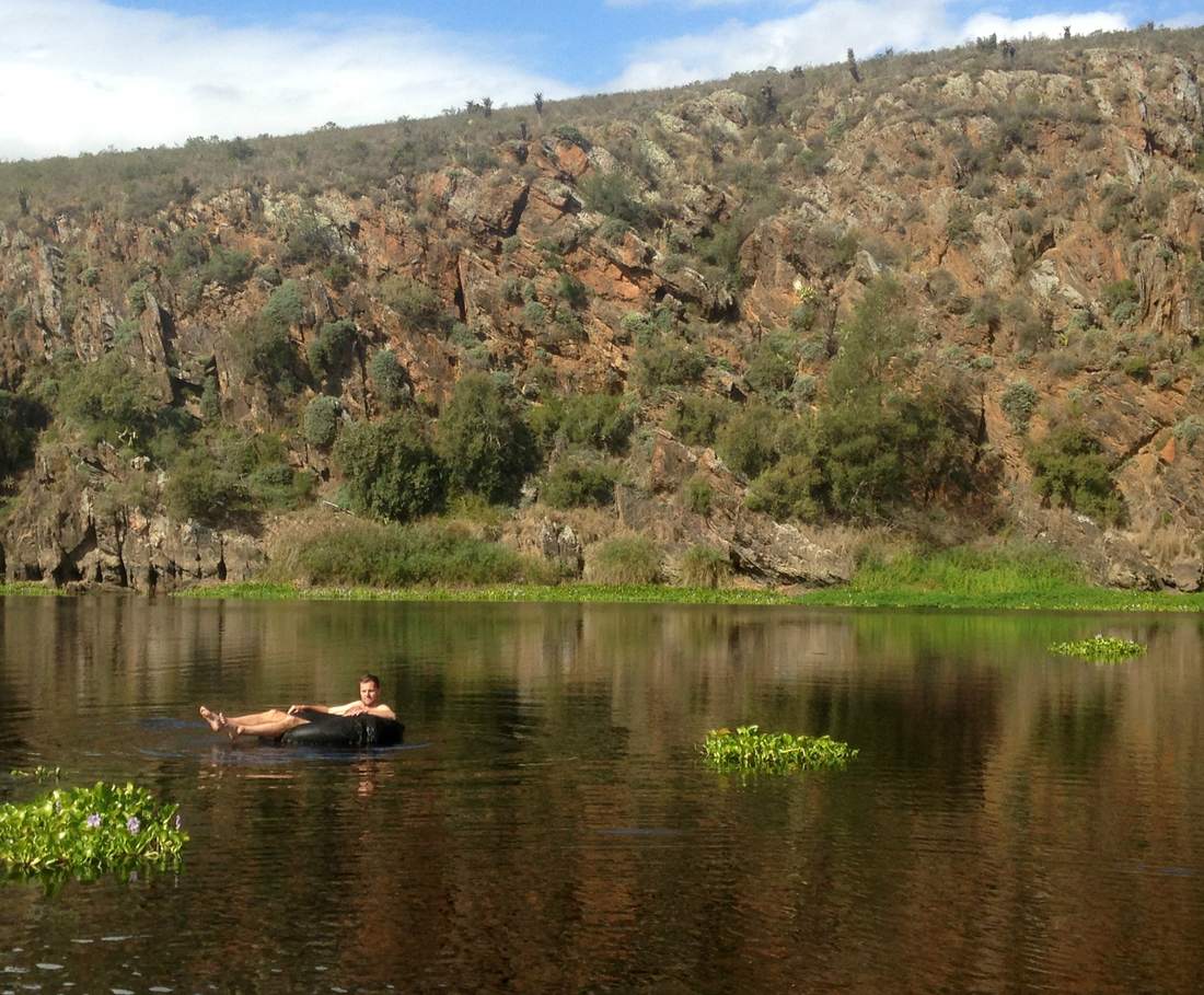 Afkoelen in de rivier in het Bontebok National Park bij Swellendam, Zuid-Afrika