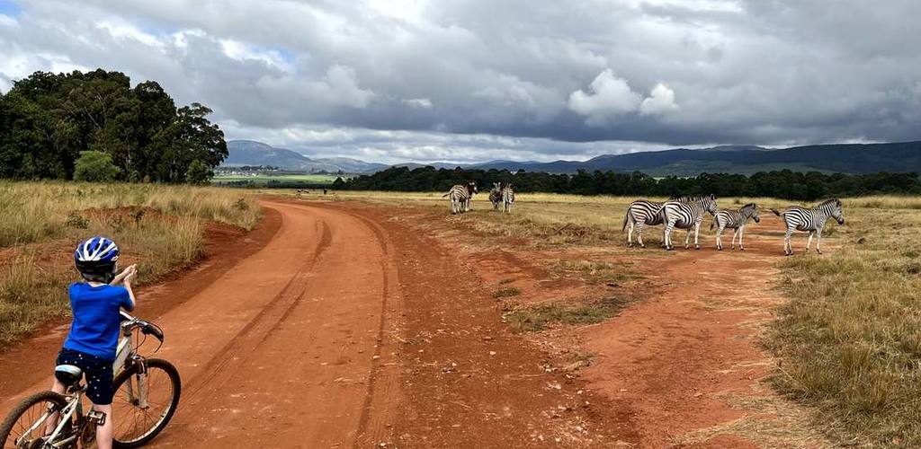 Fietsen langs zebra's in een malariavrij reservaat, Zuid-Afrika