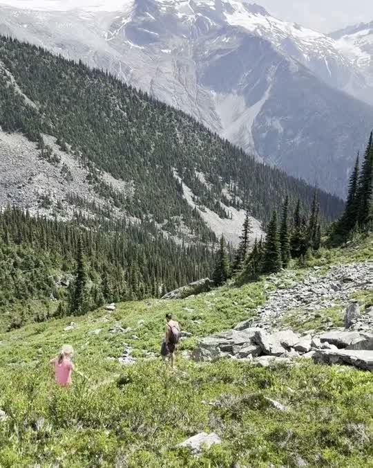 Alpenweide met besneeuwde bergtoppen in de Canadese Rockies