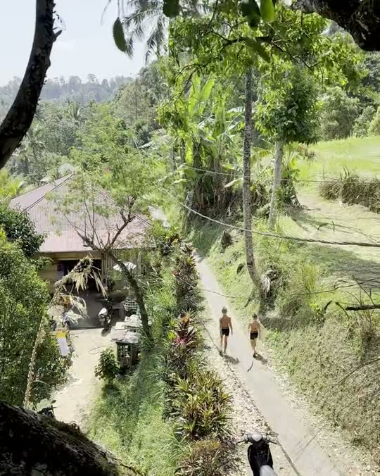 Wandelaars op een pad door de groene rijstterrassen van Bali