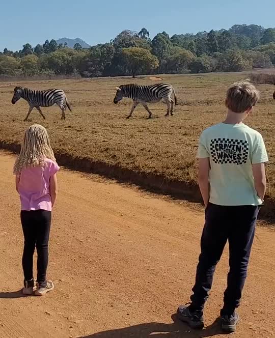 Twee kinderen op een zandweg kijken naar zebra's die oversteken, Zuid-Afrika