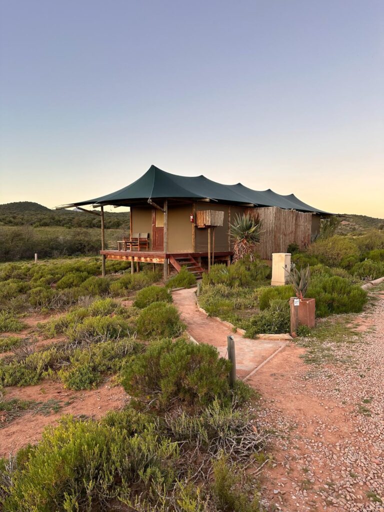 gezinsreis Zuid-Afrika onze lodge