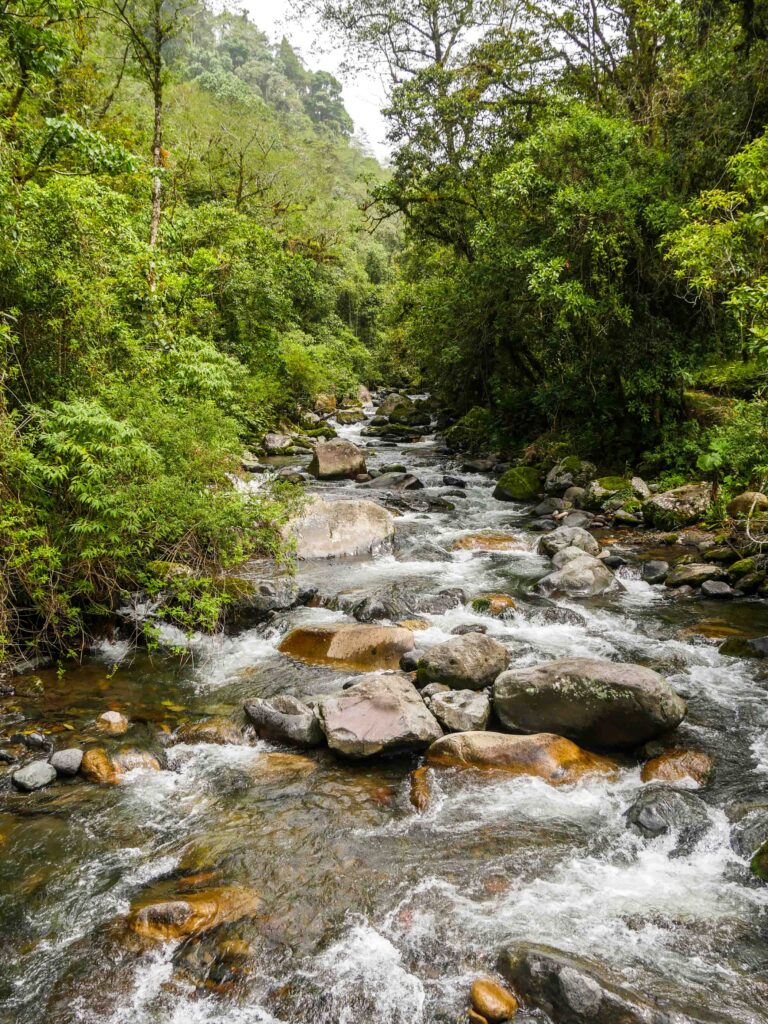 El Valle de Anton of zoals hier Boquete?