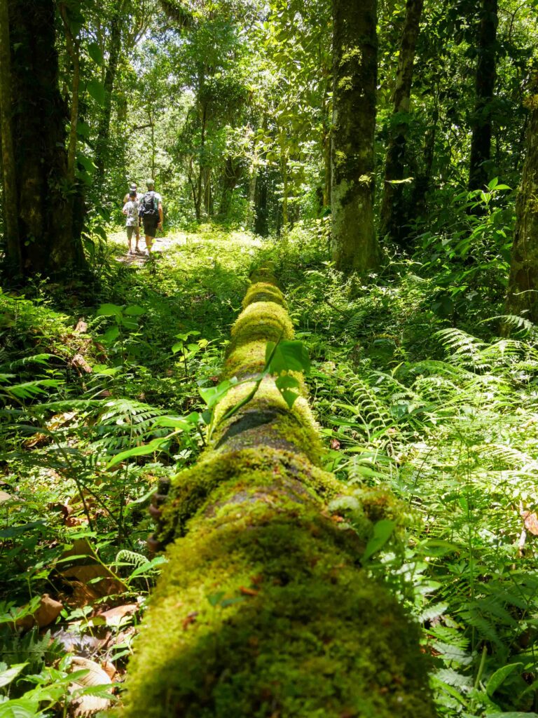 El Valle de Anton of Boquete; welke ga je kiezen?