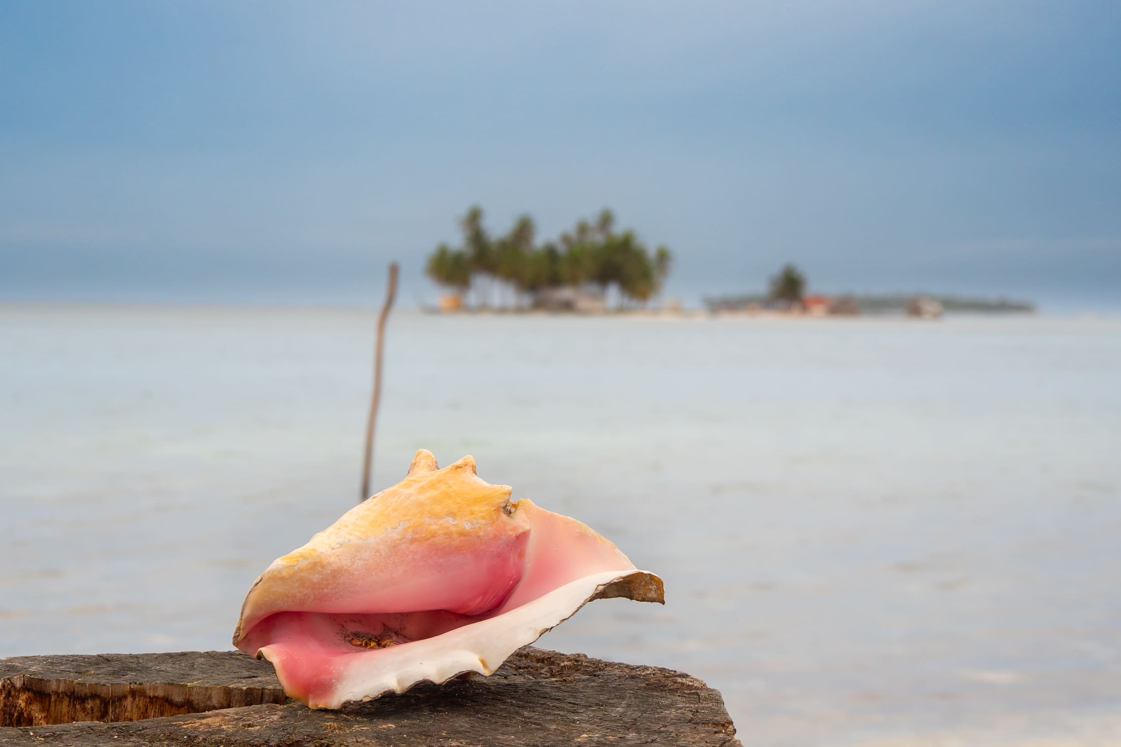 Mooiste stranden Panama: verschil tussen de Caribisch en Pacific kust